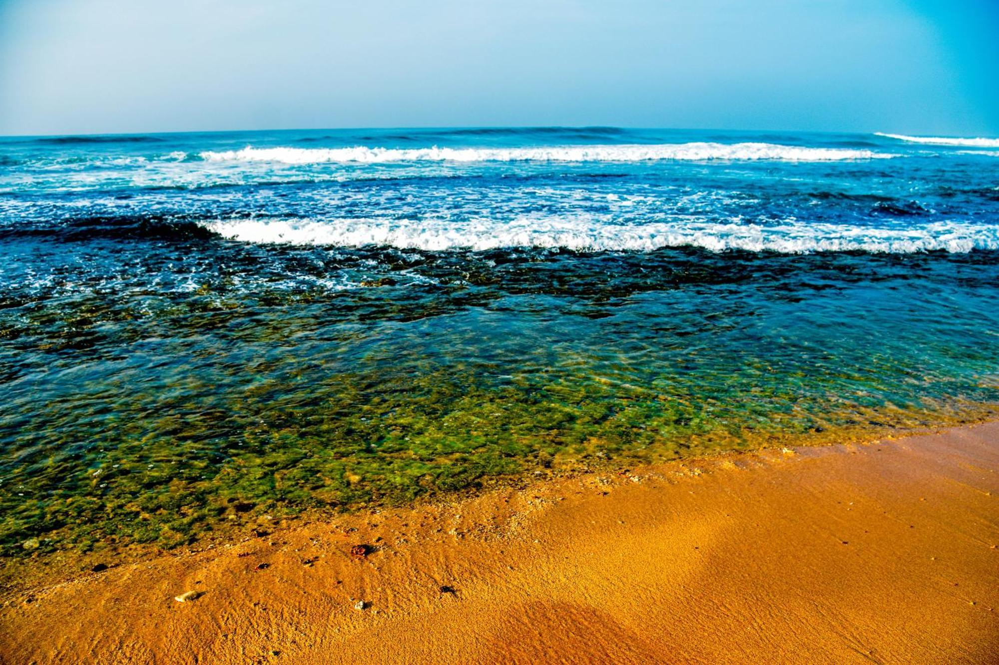 Ara Beach Resort Mirissa Ngoại thất bức ảnh